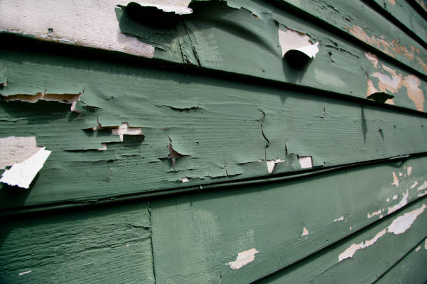 Best Foreclosure Cleanout  in Fort Hall, ID